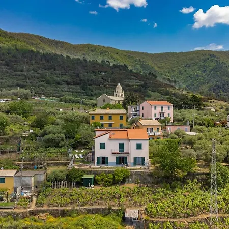 Orizzonte Damare