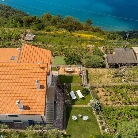 Orizzonte Damare * Volastra