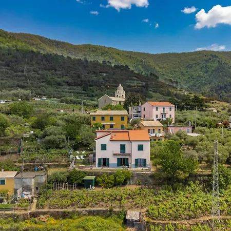 Orizzonte Damare * Volastra