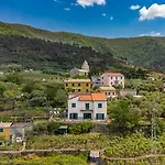 Orizzonte Damare * Volastra