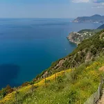 Orizzonte Damare Volastra