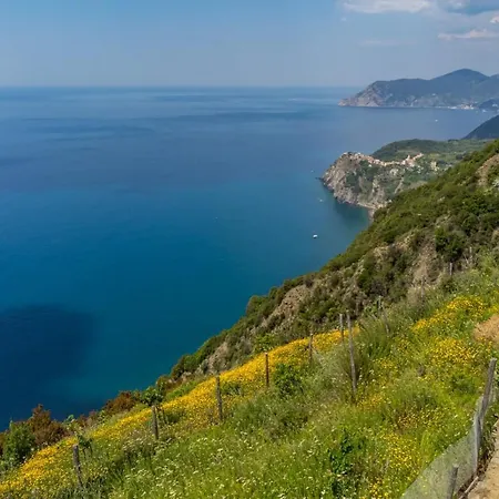 Orizzonte Damare *