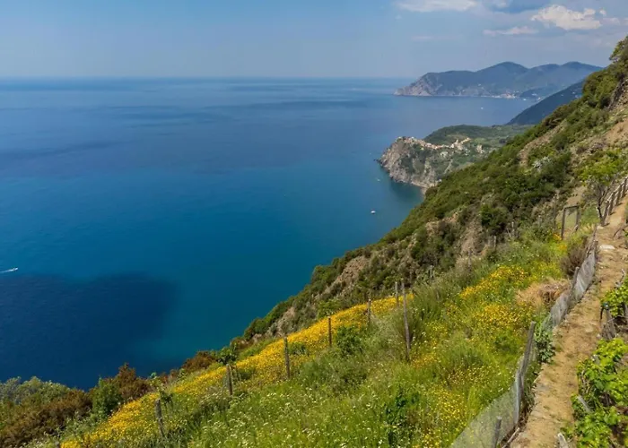 Orizzonte Damare Воластра